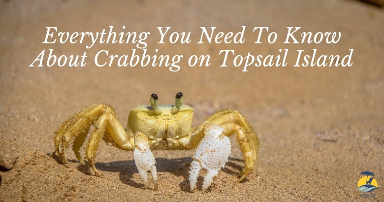 Everything You Need to Know About Crabbing on Topsail Island | Coastline Realty Vacations