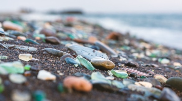 sea glass and smooth shells on the beach | Coastline Realty