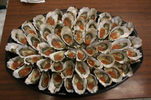 Oysters